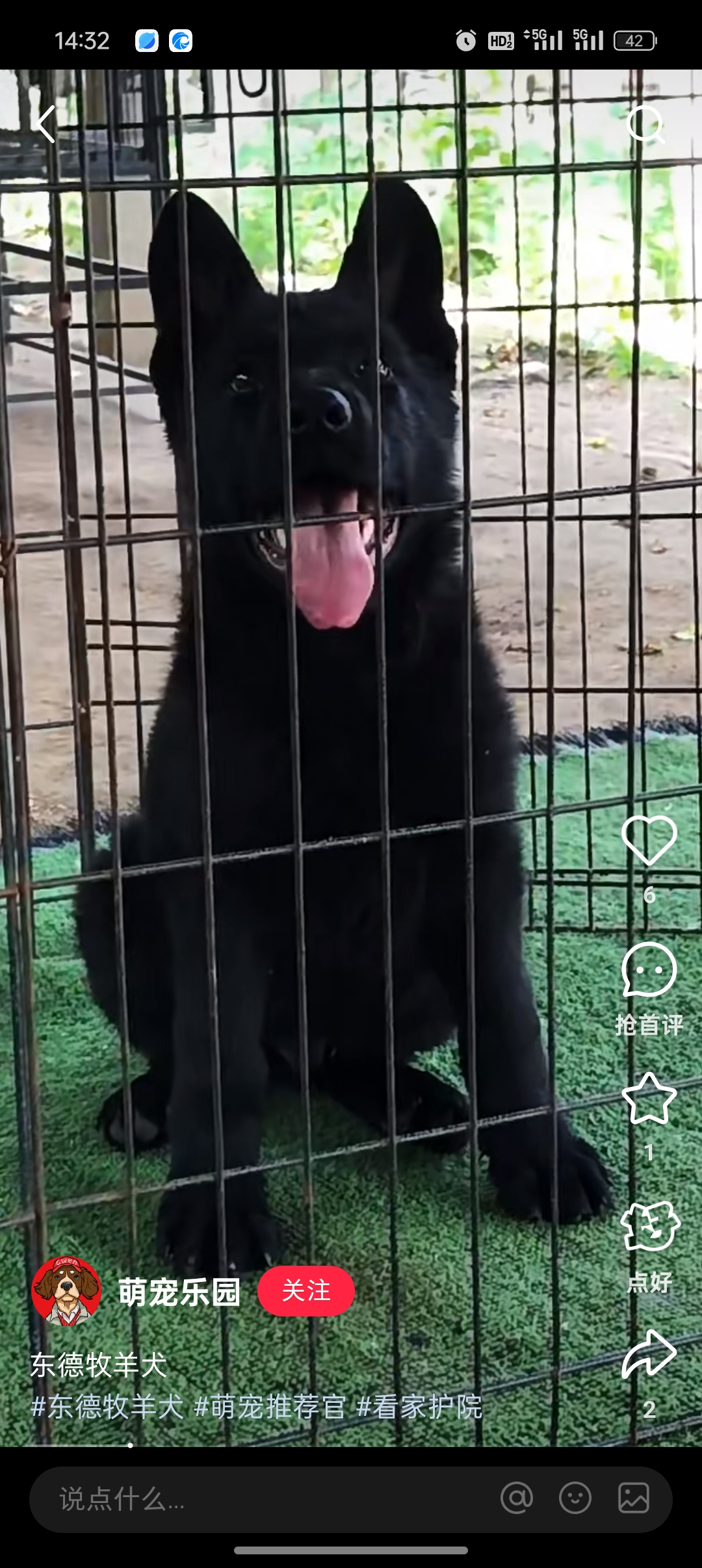 德国牧羊犬